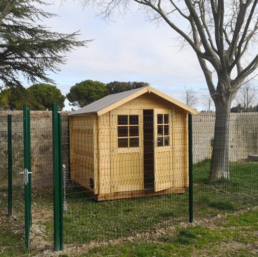 au bonheur des chats 2